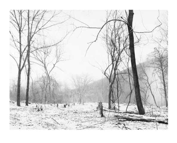 Snowy landscape with trees, tree stumps and a large silvery, ghost-like wall running from the right edge into the distance towards the left side of the image, created with graphite, compressed charcoal metallic pencil and crayon on a monochrome archival inkjet photographic print