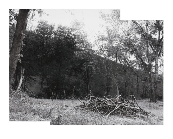 Summer landscape of trees in front of a high dark wall with a pile of branches on the sloped ground in the foreground, created with graphite, compressed charcoal metallic pencil and crayon on a monochrome archival inkjet photographic print