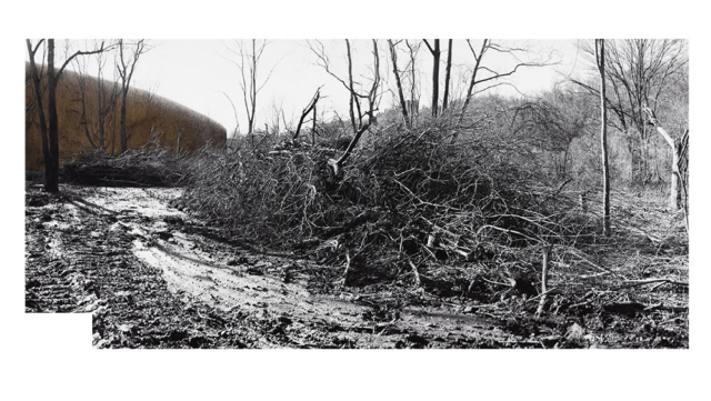 Widescreen winter landscape of a muddy track leading away between tall piles of branches and leafless trees , with a dark wall running from the left side of the image into the middle distance a third of the way across towards the right of the scene, created with graphite, compressed charcoal metallic pencil and crayon on a monochrome archival inkjet photographic print