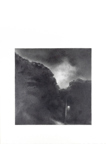 Square pencil drawing on rectangular paper. The image of trees, a street lamp and stormy evening sky is placed towards the bottom of the paper, leaving white space above that extends the presence of the sky